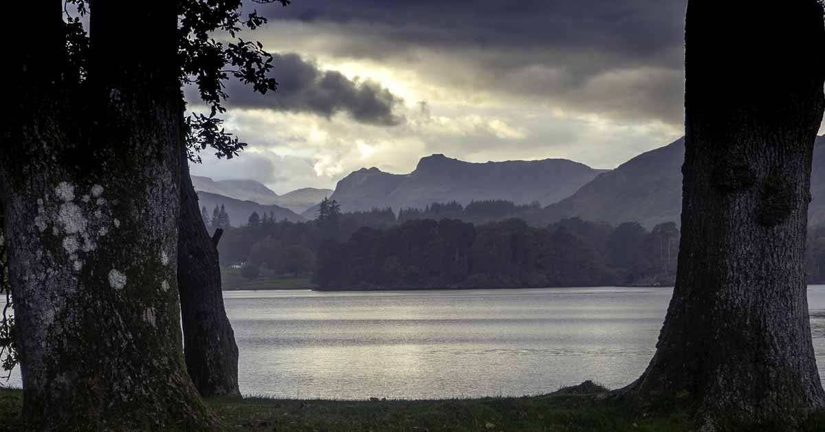 Langdale Pikes Through the Trees