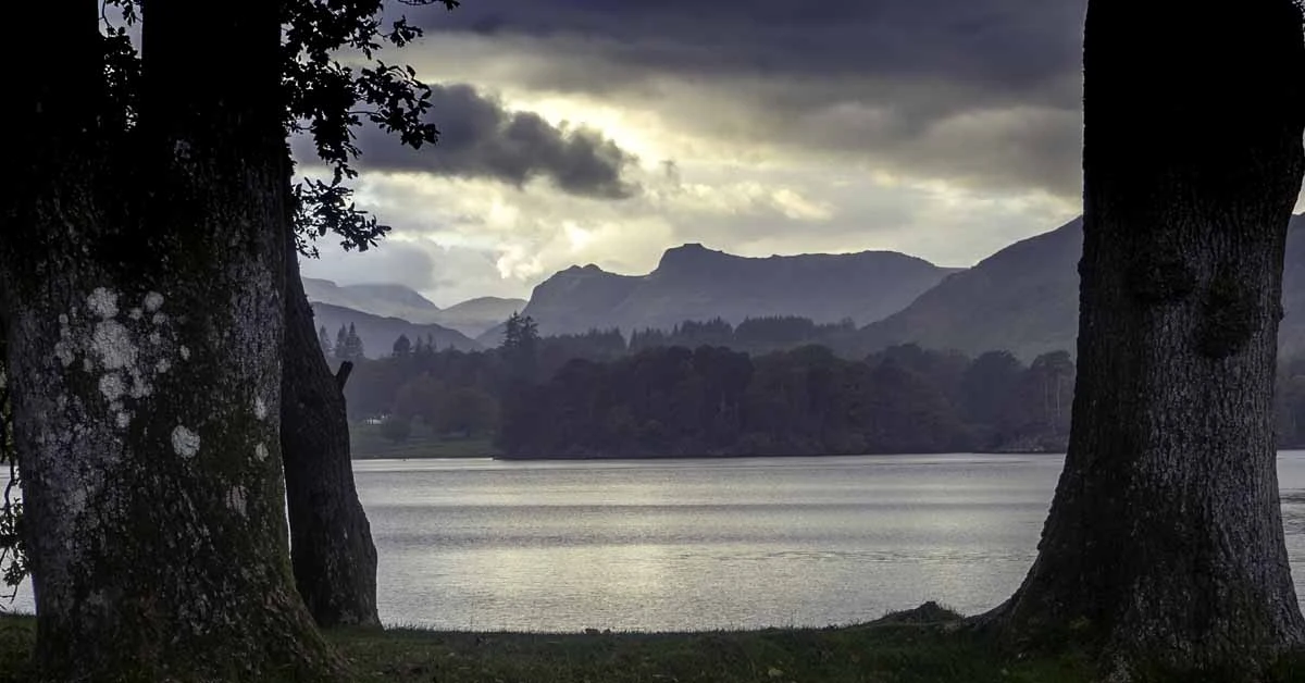 Langdale Pikes Through the Trees
